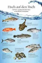 METRO Prospekt Seite 49