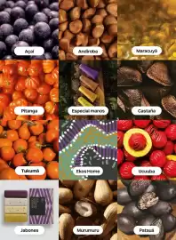 Catálogo Natura Página 114