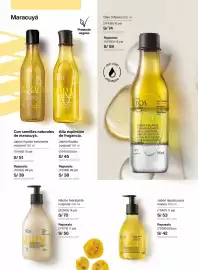 Catálogo Natura Página 121