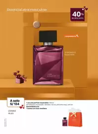 Catálogo Natura Página 19