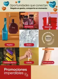 Catálogo Natura Página 5