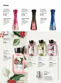 Catálogo Natura Página 60