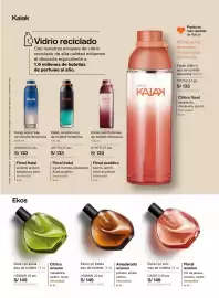 Catálogo Natura Página 61