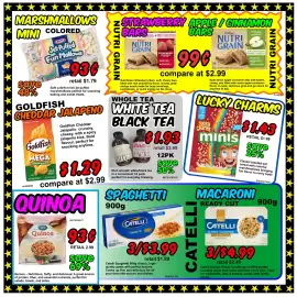 Surplus Herby's flyer Page 5