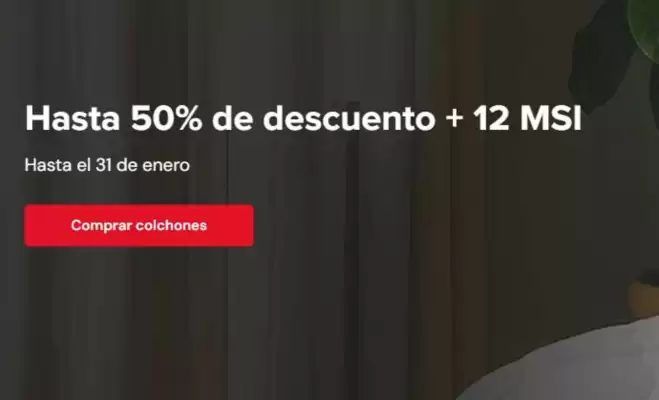 Catálogo Atlas (válido hasta 31-01)