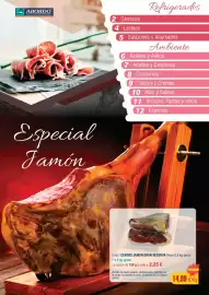 Folleto Abordo Página 2