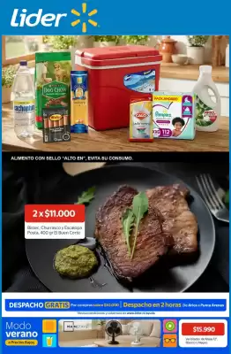 Catálogo Lider (válido hasta 5-02)