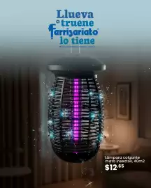 Catálogo Ferrisariato semana 5 Página 2