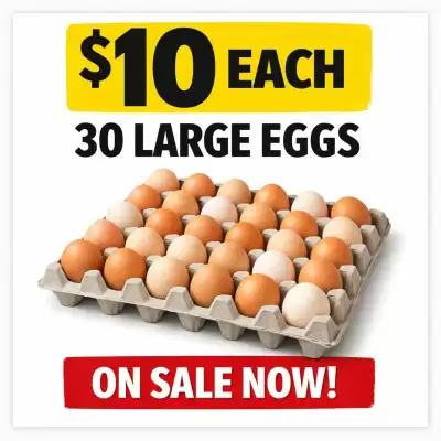 Savemore catalogue (valid until 4-02)