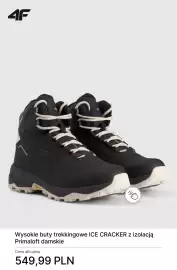 4F gazetka tydzień 5 Strona 9