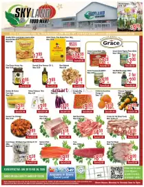 Skyland Foodmart flyer week 5 Page 1
