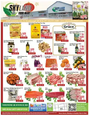 Skyland Foodmart flyer (valid until 5-02)