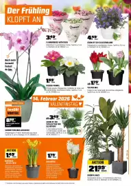 OBI Flugblatt Seite 7