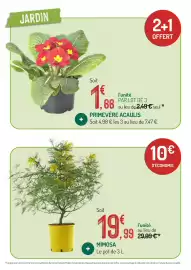 Catalogue Botanic page 6