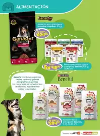 Folleto Soriana Híper Página 2