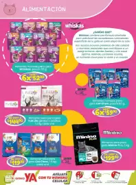 Folleto Soriana Mercado Página 13