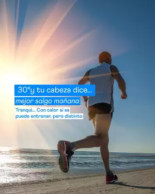 Catálogo Sparta (válido hasta 31-01)