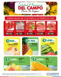 Catálogo Surtifamiliar semana 5 Página 5