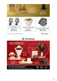 Grandiose leaflet Page 24