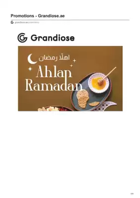 Grandiose leaflet (valid until 11-02)