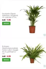 Intratuin folder Pagina 3