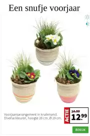 Intratuin folder Pagina 4