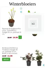 Intratuin folder Pagina 5