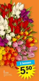 Albert Heijn folder week 6 Pagina 32