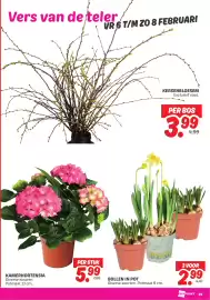 Dekamarkt folder week 6 Pagina 27