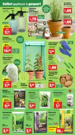 Thomas Philipps Prospekt woche 6 Seite 5