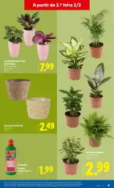 Folheto Lidl | Novidades Página 19