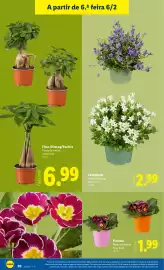 Folheto Lidl | Novidades Página 20