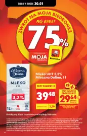 Biedronka gazetka Strona 4