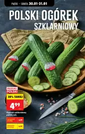 Biedronka gazetka Strona 42