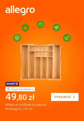 Allegro gazetka (ważność do 5-02)