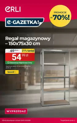 ERLI gazetka (ważność do 1-02)