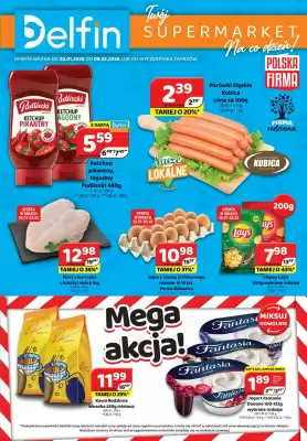 Delfin gazetka (ważność do 8-02)