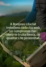 Folleto BonpreuEsclat Página 7