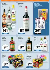 Scandinavian Park reklamblad Sida 31