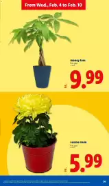 Lidl weekly ad week 6 Page 29