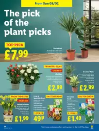 Lidl leaflet week 6 Page 26
