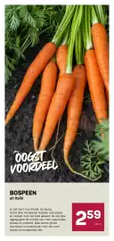 Ekoplaza folder week 6 Pagina 6