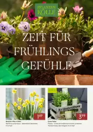 Pflanzen Kölle Prospekt Seite 1