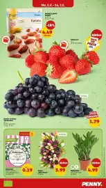 PENNY Prospekt woche 6 Seite 7