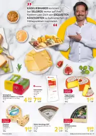 Selgros Prospekt Seite 17