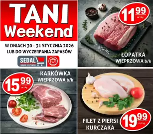 Sedal gazetka Strona 1