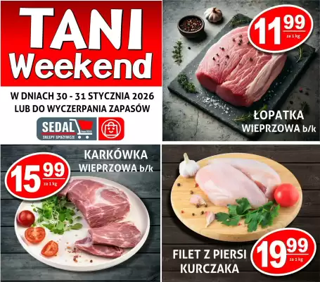 Sedal gazetka (ważność do 31-01)