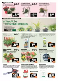 V Baumarkt Prospekt woche 6 Seite 2