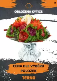 Terno leták Strana 15