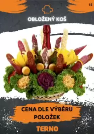 Terno leták Strana 16